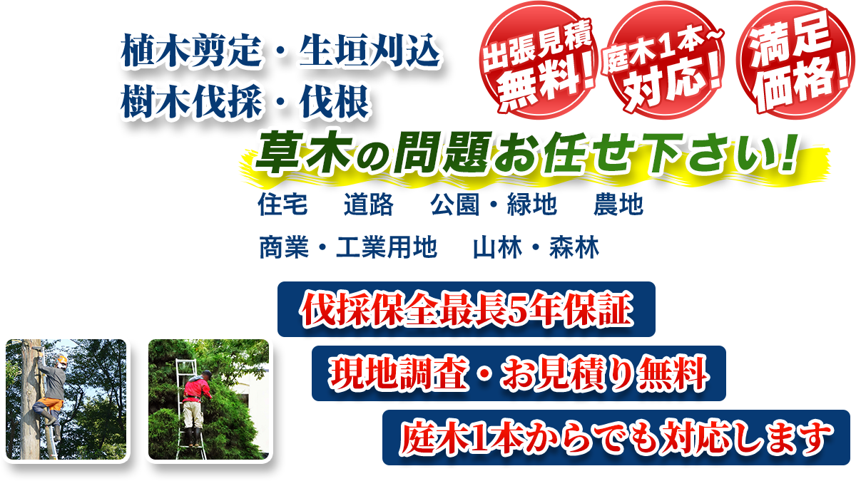 札幌市エリア即対応!! 出張無料! 庭木1本~対応! 満足価格! 植木剪定・生垣刈込 樹木伐採・伐根 草木の問題お任せ下さい! 住宅 道路 公園・緑地 農地 商業・工業用他 山林・森林 伐採保全最長5年保証 現地調査・お見積り無料 庭木1本からでも対応します